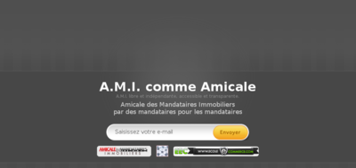 A.M.I. le réseau des réseaux immobiliers Amicale des mandataires immobiliers